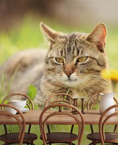 brown cat led in grass wallpaper
