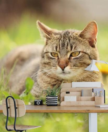 brown cat led in grass wallpaper