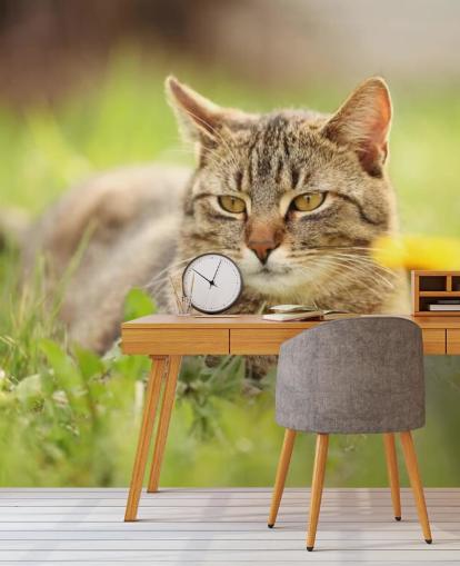 brown cat led in grass wallpaper brown cat led in grass wallpaper