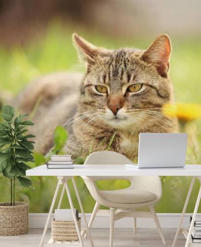 braune Katze führte im Gras Tapete