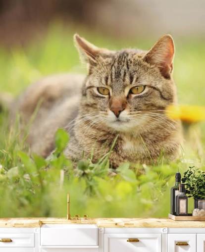 gato marrón llevado en papel tapiz de hierba