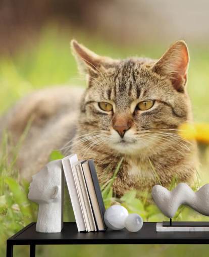 brown cat led in grass wallpaper