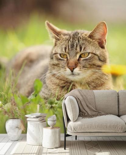 brown cat led in grass wallpaper