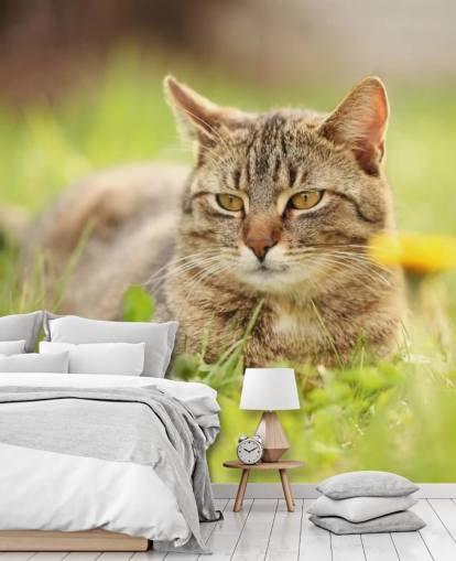 gato marrón llevado en papel tapiz de hierba