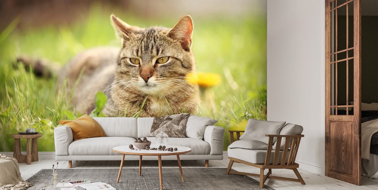 Spring Cat Wall Cat Resting in Spring Grass Wall Mural | Wallsauce US