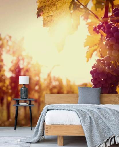 Sunset Vineyard behang Sunset Vineyard behang