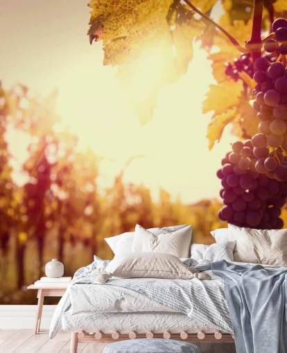 Fondo de pantalla Sunset Vineyard