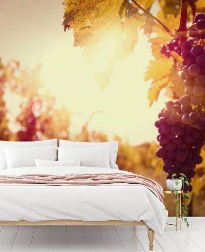 Sunset Vineyard behang