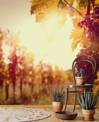 Fondo de pantalla Sunset Vineyard Fondo de pantalla Sunset Vineyard