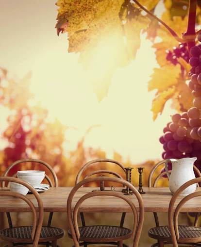 Sunset Vineyard Wallpaper Sunset Vineyard Wallpaper