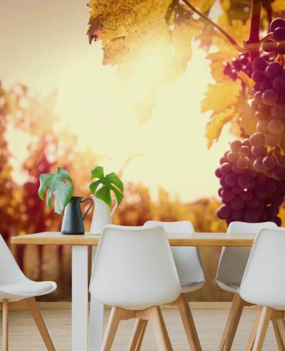 Fondo de pantalla Sunset Vineyard