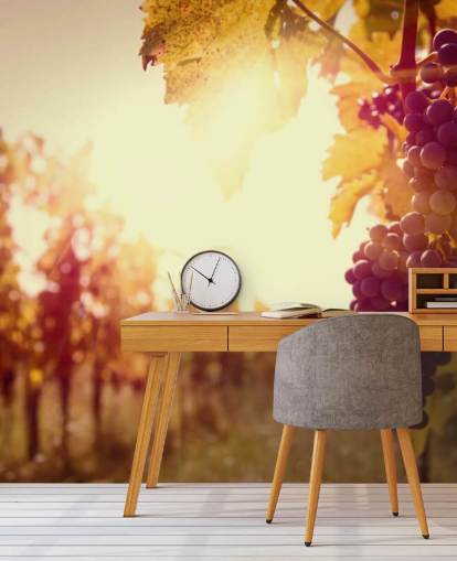 Sunset Vineyard Wallpaper