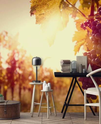 Sunset Vineyard Wallpaper