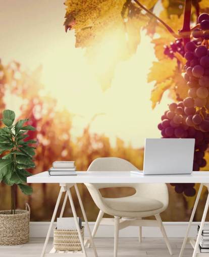 Sunset Vineyard Wallpaper