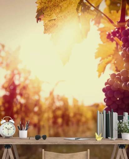 Fondo de pantalla Sunset Vineyard