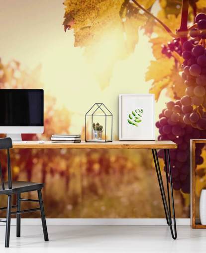 Papel de parede Sunset Vineyard