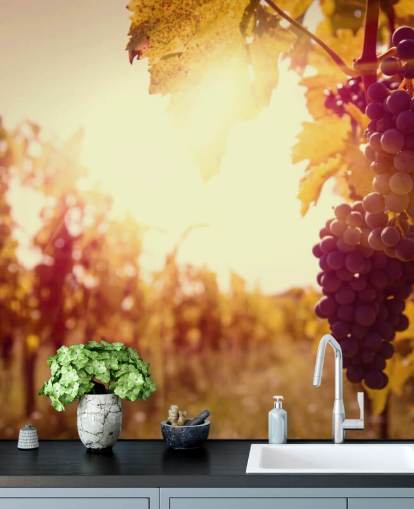 Sunset Vineyard Wallpaper Sunset Vineyard Wallpaper