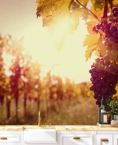 Sunset Vineyard Wallpaper