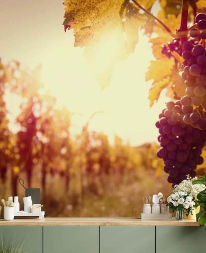 Sunset Vineyard Wallpaper Sunset Vineyard Wallpaper