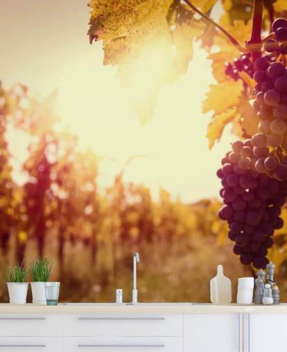 Sunset Vineyard Wallpaper