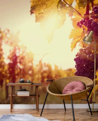 Sunset Vineyard Wallpaper Sunset Vineyard Wallpaper