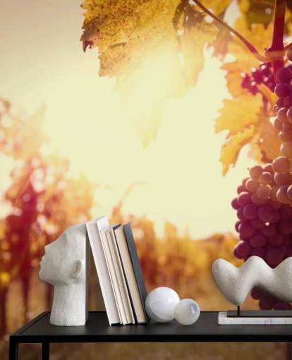 Fondo de pantalla Sunset Vineyard