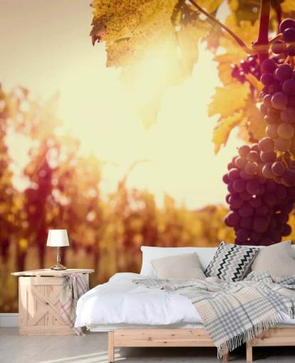 Sunset Vineyard Wallpaper