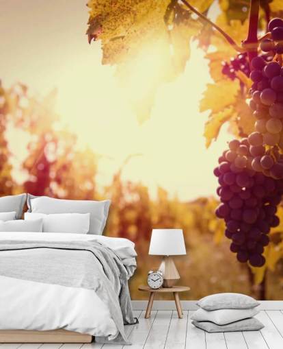 Papel de parede Sunset Vineyard