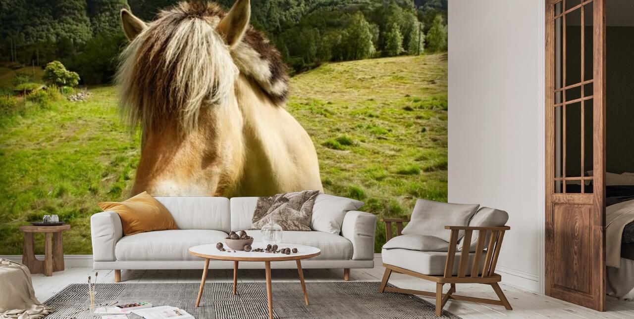 Close Up Wallpaper Mural | Wallsauce UK