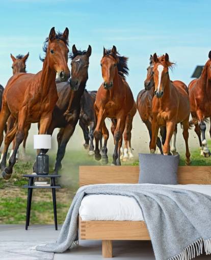 Brown Horses Running Together Mural