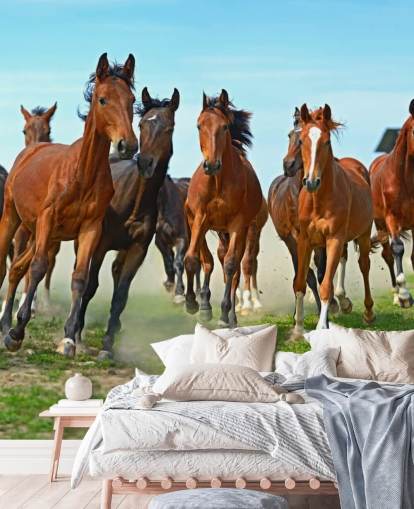 Mural Caballos marrones corriendo juntos