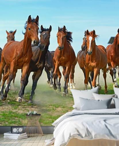 Brown Horses Running Together Mural