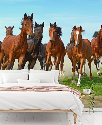 Brown Horses Running Together Mural