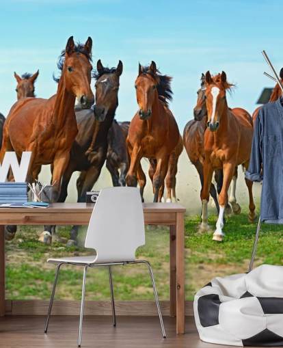 Brown Horses Running Together Mural Brown Horses Running Together Mural