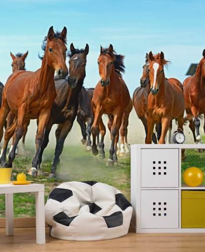 Brown Horses Running Together Mural