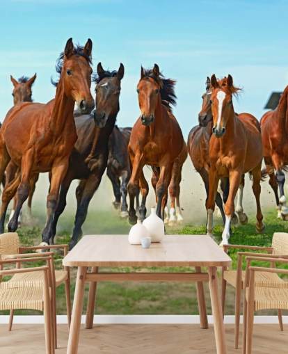 Brown Horses Running Together Mural