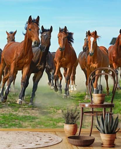 Brown Horses Running Together Mural