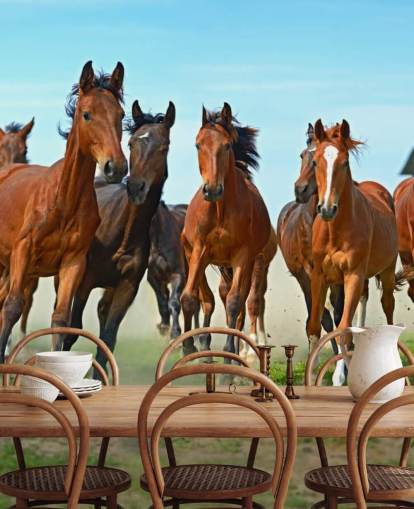 Brown Horses Running Together Mural Brown Horses Running Together Mural