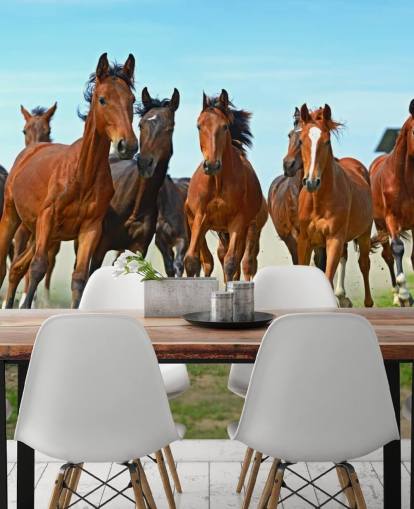 Brown Horses Running Together Mural