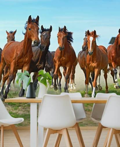 Bruine paarden rennen samen muurschildering