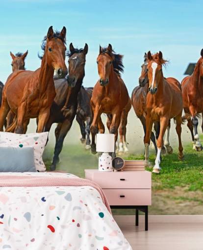 Brown Horses Running Together Mural