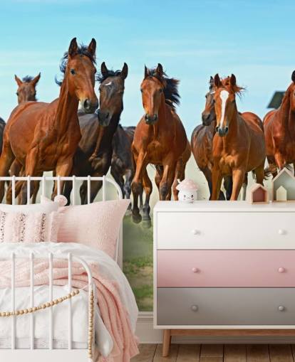 Braune Pferde laufen zusammen Fototapete