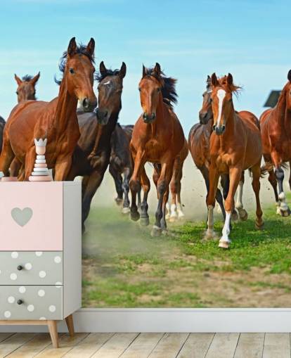 Brown Horses Running Together Mural Brown Horses Running Together Mural