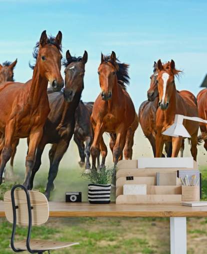 Brown Horses Running Together Mural