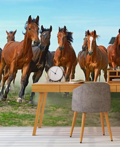 Brown Horses Running Together Mural