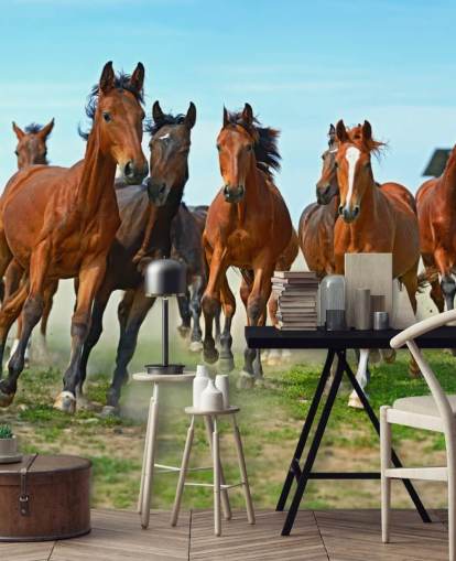 Brown Horses Running Together Mural