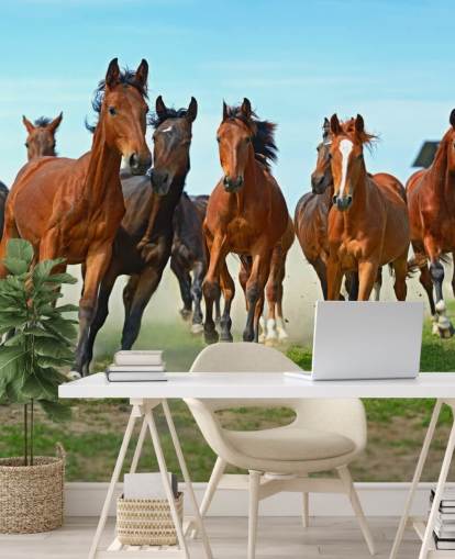 Brown Horses Running Together Mural