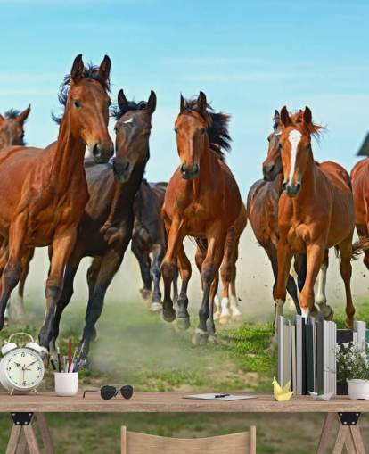 Brown Horses Running Together Mural
