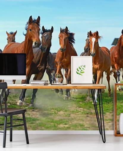 Brown Horses Running Together Mural Brown Horses Running Together Mural