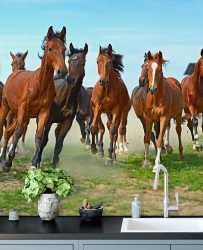 Bruine paarden rennen samen muurschildering